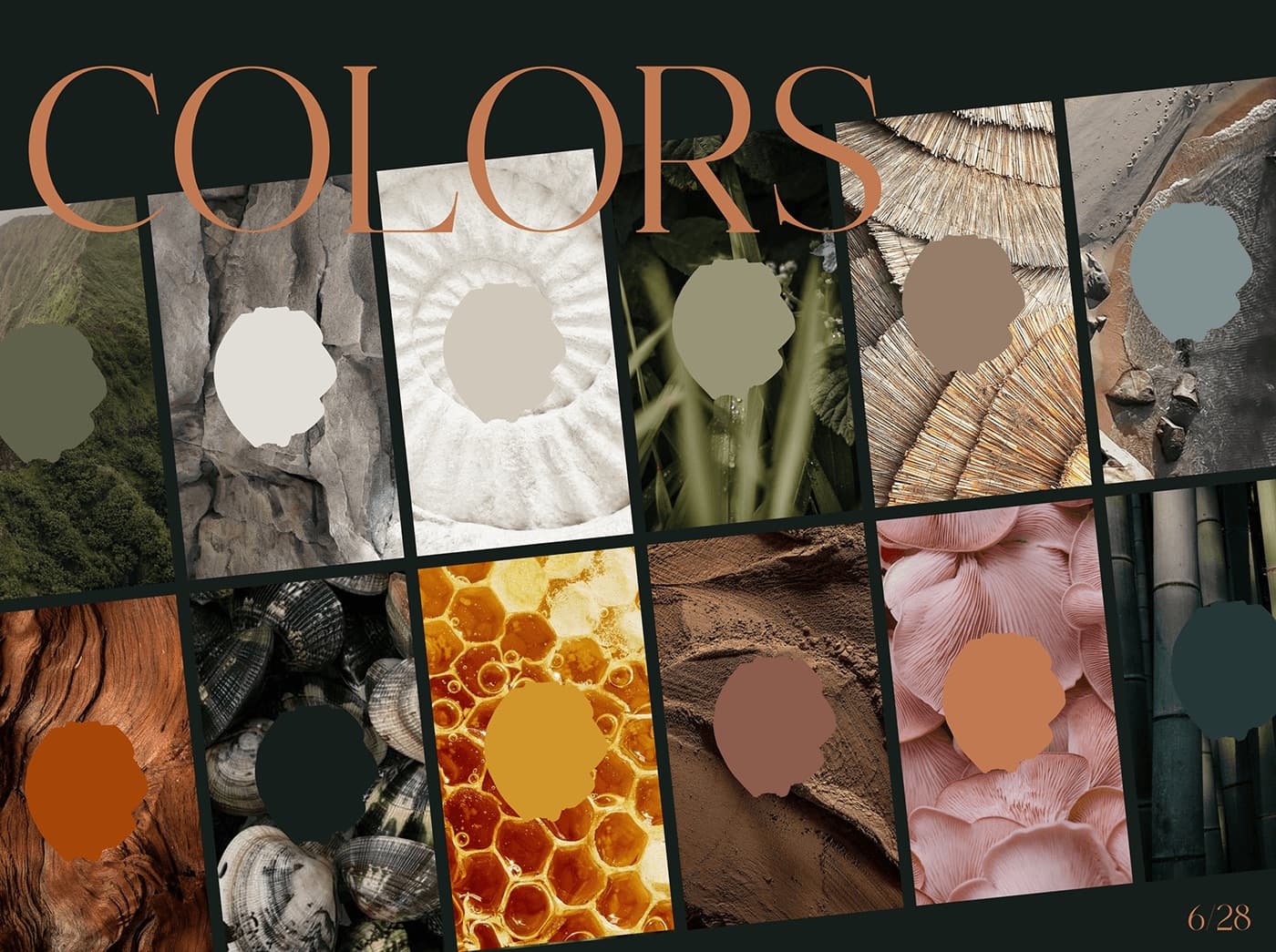 Couleurs